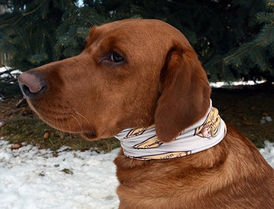GRFS neck buff - adult - Tan with shop logo