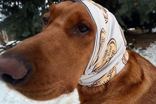 GRFS neck buff - adult - Tan with shop logo