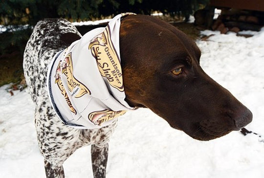 GRFS neck buff - adult - Tan with shop logo