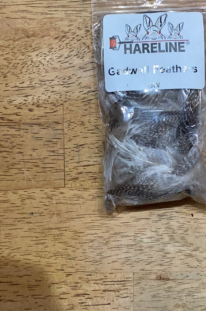 Gadwall Feathers