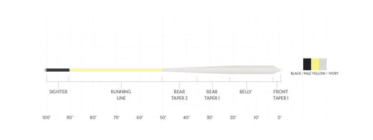 SA Amplitude Smooth Bonefish Plus WF-Floating
