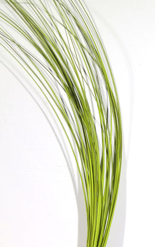 HARELINE QUILL BODY