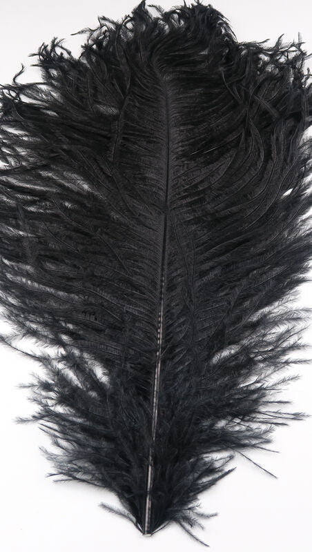 Ostrich Plume