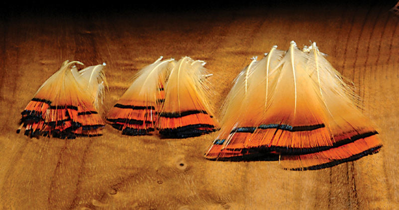 Hareline Golden Pheasant Tippets - High Strength and Durability