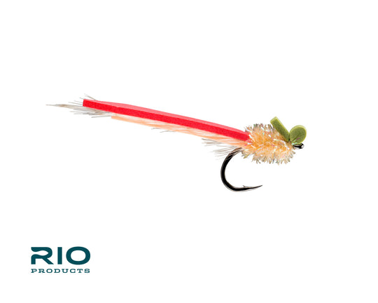 RIO PALOLO SLIDER