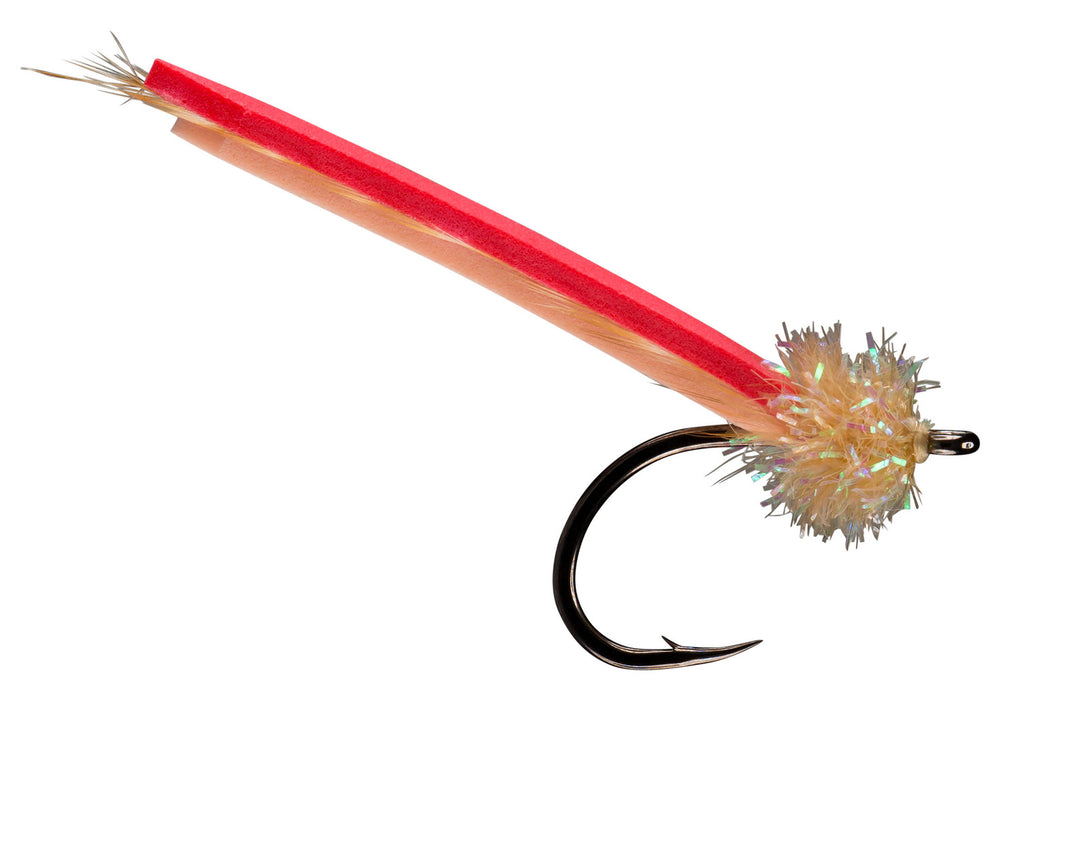 RIO PALOLO WORM