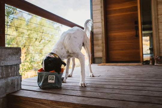 Bow Wow Travel Food Bowl - Duskwood
