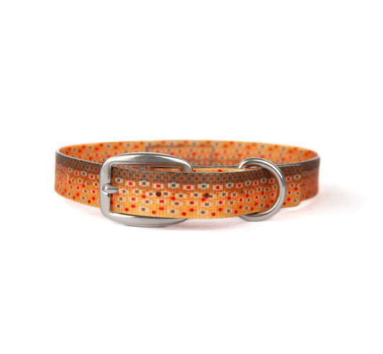 Fishpond Dog Collar - Trucha