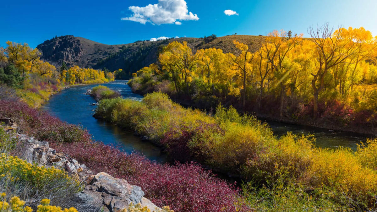 Premium Fly Fishing Gear & Expert Guides Gunnison River Fly Shop
