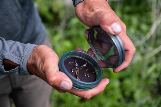 FISHPOND SHALLOW MAGPAD FLY PUCK