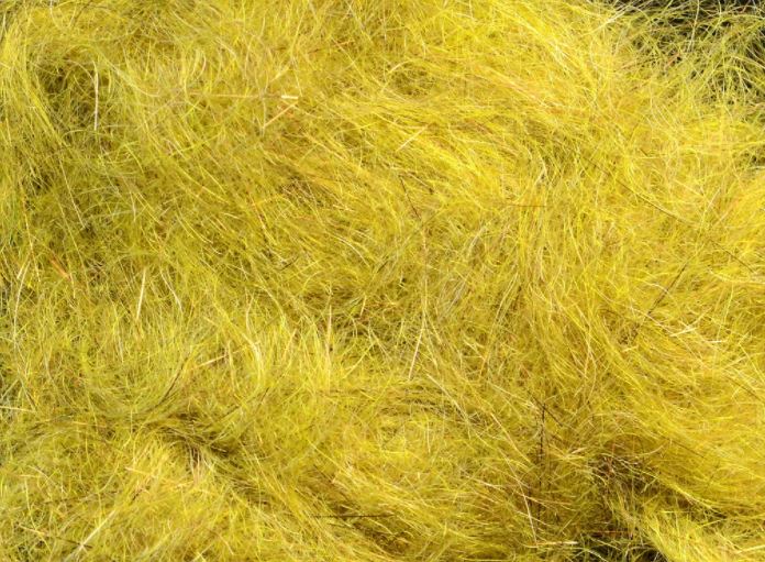 MFC Arizona Simi Seal Dubbing