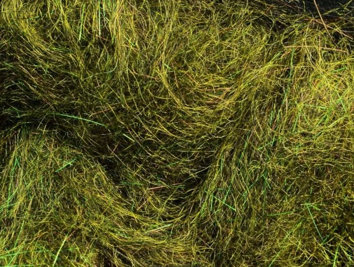 MFC Arizona Simi Seal Dubbing