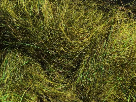 MFC Arizona Simi Seal Dubbing