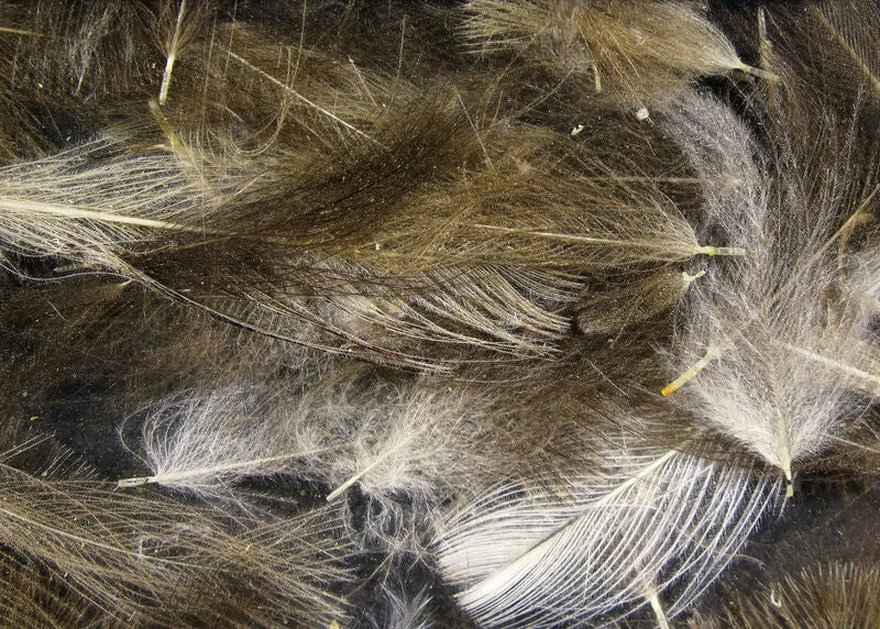 Hareline - Cul De Canard Natural Dun