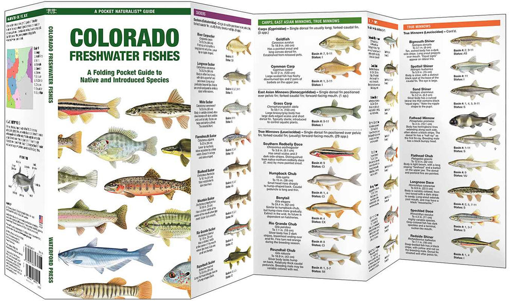 Colorado Freshwater Fishes by Matthew Morris: Pamphlets; 12 pages / English