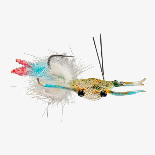 RIO FIDDLER ON THE REEF CRAB -SZ 01