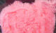 UV2 Roe Yarn